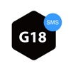 GSM Alarm G18