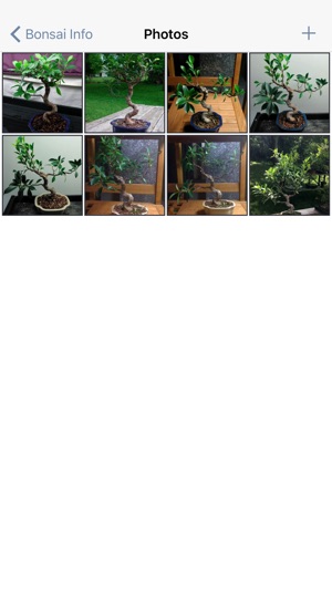 Bonsai Album(圖4)-速報App