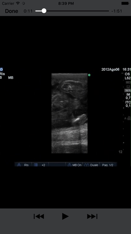 Advanced Equine Reproductive Ultrasound