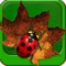 Help the lady bug to eat its food without collide with other insects and gain scores