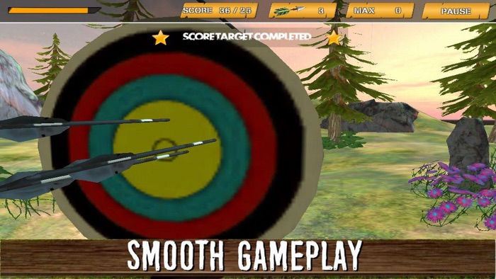 Archery Bow Adventure