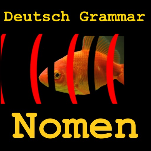 Deutsch Grammar Nomen icon