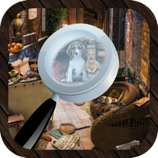 Activities of Hidden Objects Mistry House