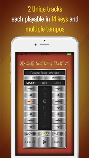 Backing Tracks: Reggae(圖1)-速報App