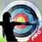 Ambush Archery War PRO : Great Shot