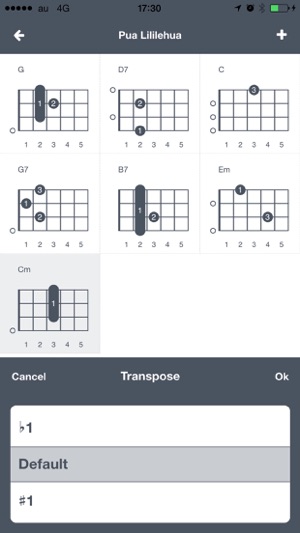 Ukulele Palette(Ukulele Chord)(圖3)-速報App