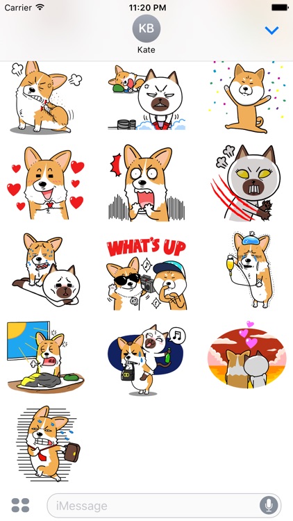 웰시코기 이광복 씨와 친구들(Welshcorgi Mr.LEE & Friends) screenshot-3