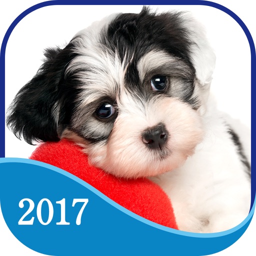 365 Dogs Page-A-Day Calendar 2017