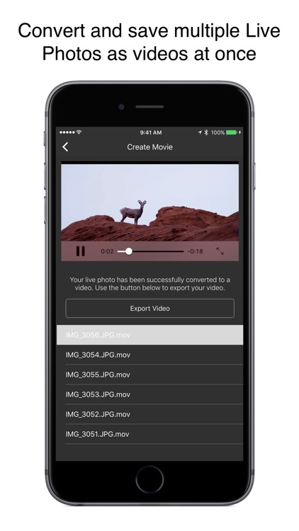 Live Studio - Converter for Live Photos