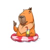 Capybara! Stickers