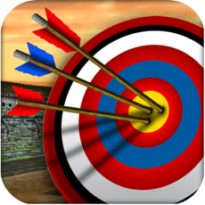 Activities of Nice Shoot Archery 3D