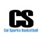 The Cal Sparks Basketball app will provide everything needed for team and college coaches, media, players, parents and fans throughout an event