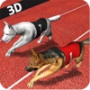Dog Racing  3D