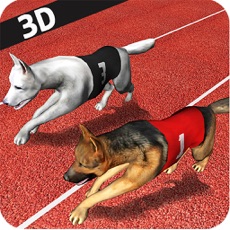 Activities of Dog Racing  3D