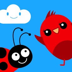 Activities of Amigos del Bosque Escondidas