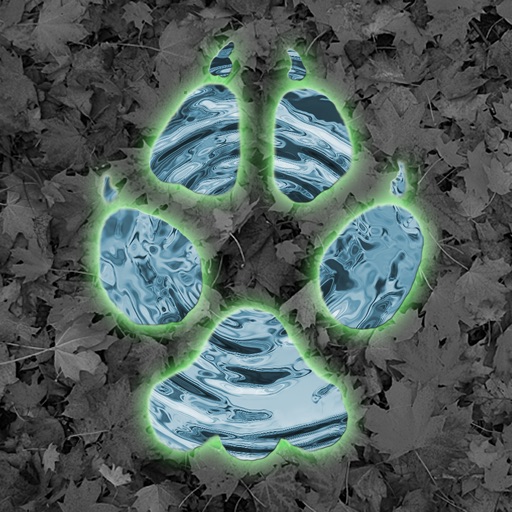 Critter Trax - Wild Animal Tracks and Scat