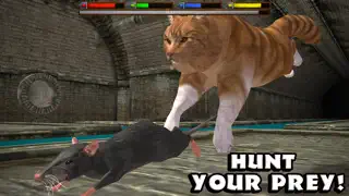 Ultimate Cat Simulator - Screenshot 2