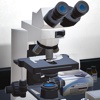BioNetwork: Virtual Microscope