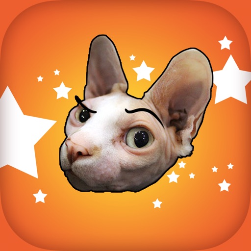 CatMoji - Sphynx Cat Grumpy Love Stickers icon