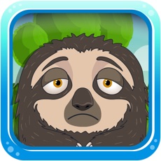 Activities of Defend Sloth - physical game