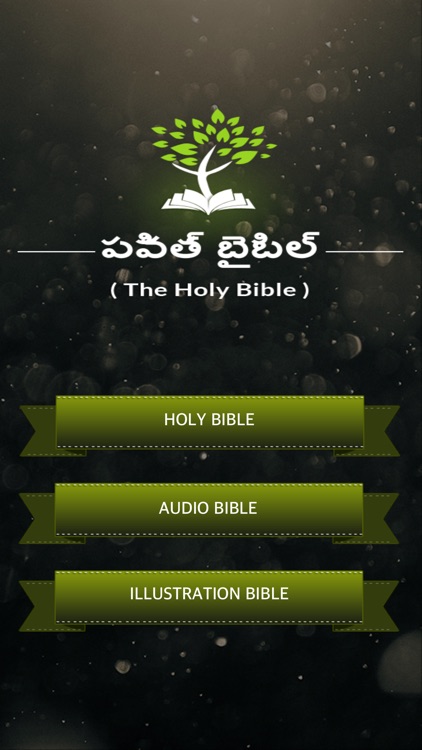 Holy Bible with Audio-Telugu