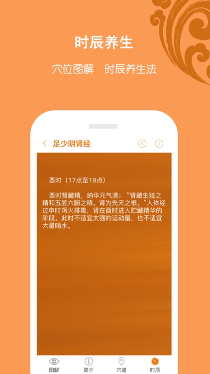 经络养生专业版 screenshot-4