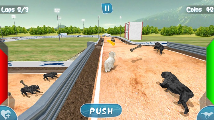 Greyhound Derby Dog Racing - Wild Dog 3D Simulator screenshot-3