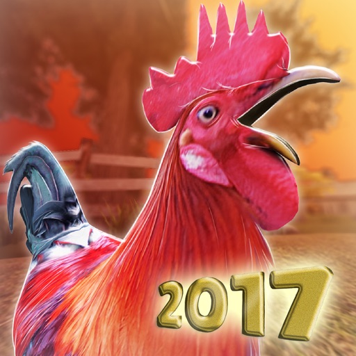 Chicken Day PRO . Farm Chick Runner 2017 Icon