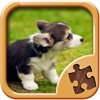 Icon Cute Puppies Jigsaw Puzzles - Real Puzzle Games