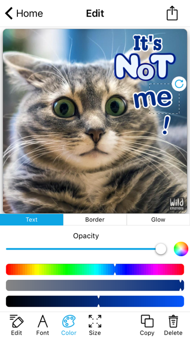 WildEmotions: add text to photos with animal cards screenshot 4