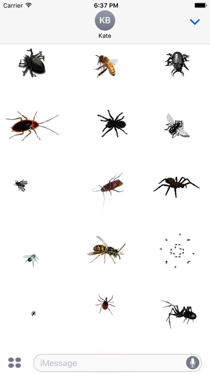 Animated Insects