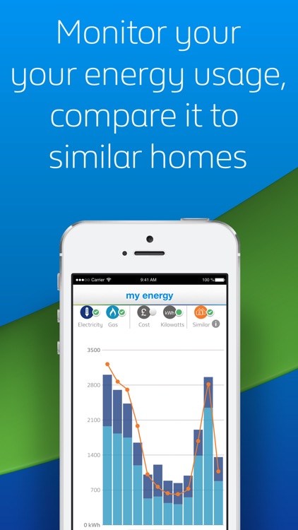 British Gas screenshot-3