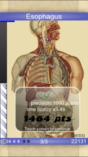 Speed Anatomy (Quiz)(圖2)-速報App