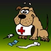 First Aid for Dogs