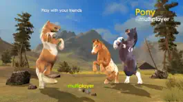 Game screenshot Pony Multiplayer apk