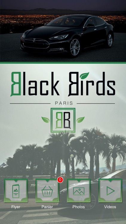 Black Birds