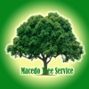 Macedo's Tree Service