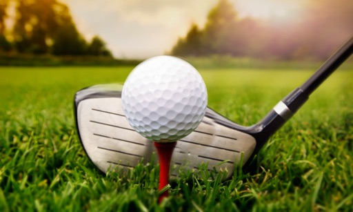Golf Pro - Masters Tour iOS App