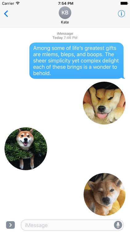 Shiba Inu Stickers for iMessage