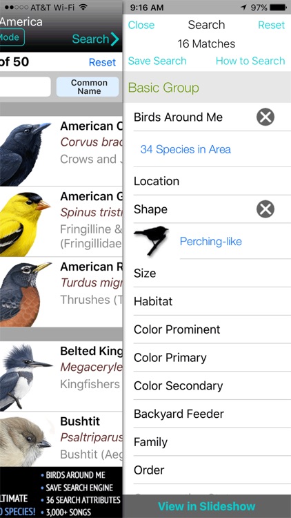 iBird Lite Guide to Birds