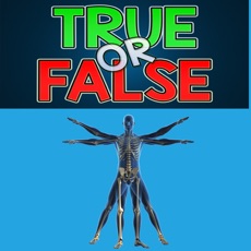 Activities of True False : Human Body Quiz