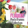 Flowers Photo Frames New Free Colourful Collection