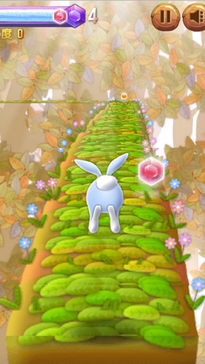 Rabbit Rush 3D - Cool Running Games screenshot-3