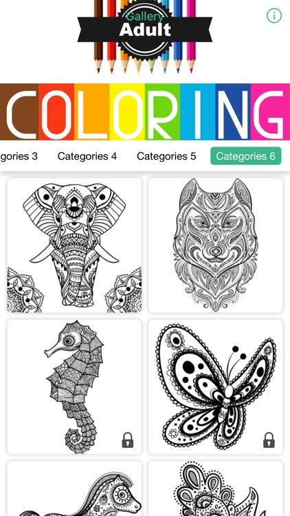 Owl Floral Coloring Book For Adult Relaxation Game