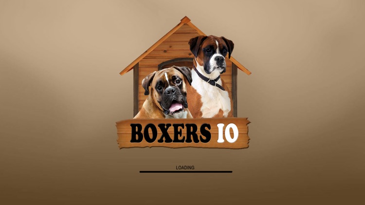 Boxers IO (Opoly)