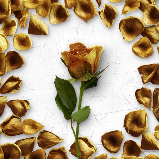 Flower Greetings Gold Roses icon