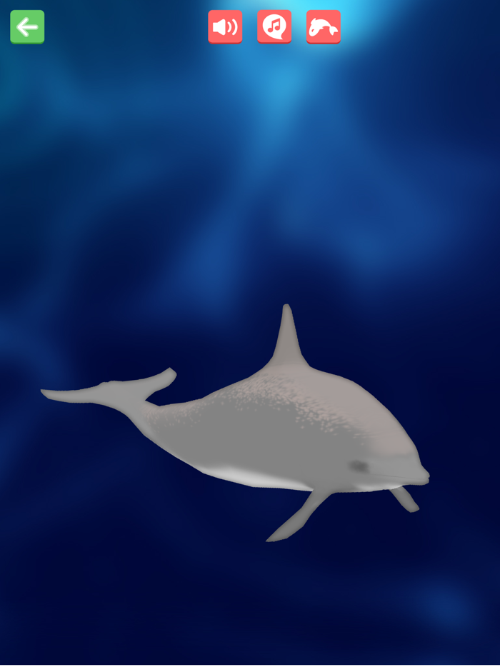 Painting Lulu Sea Life KFC