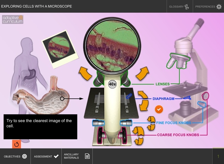 Exploring Cells with a Microscope screenshot-3