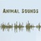 Animal Sounds – free app that features high quality real sounds of more than 120 animals with high definition animal pictures
