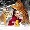 Wild Tiger Photo Frames Decorate Your Pictures HD